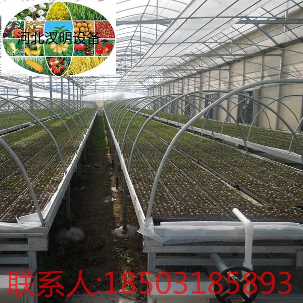 移动苗床  潮汐苗床  苗床价格  苗床网片