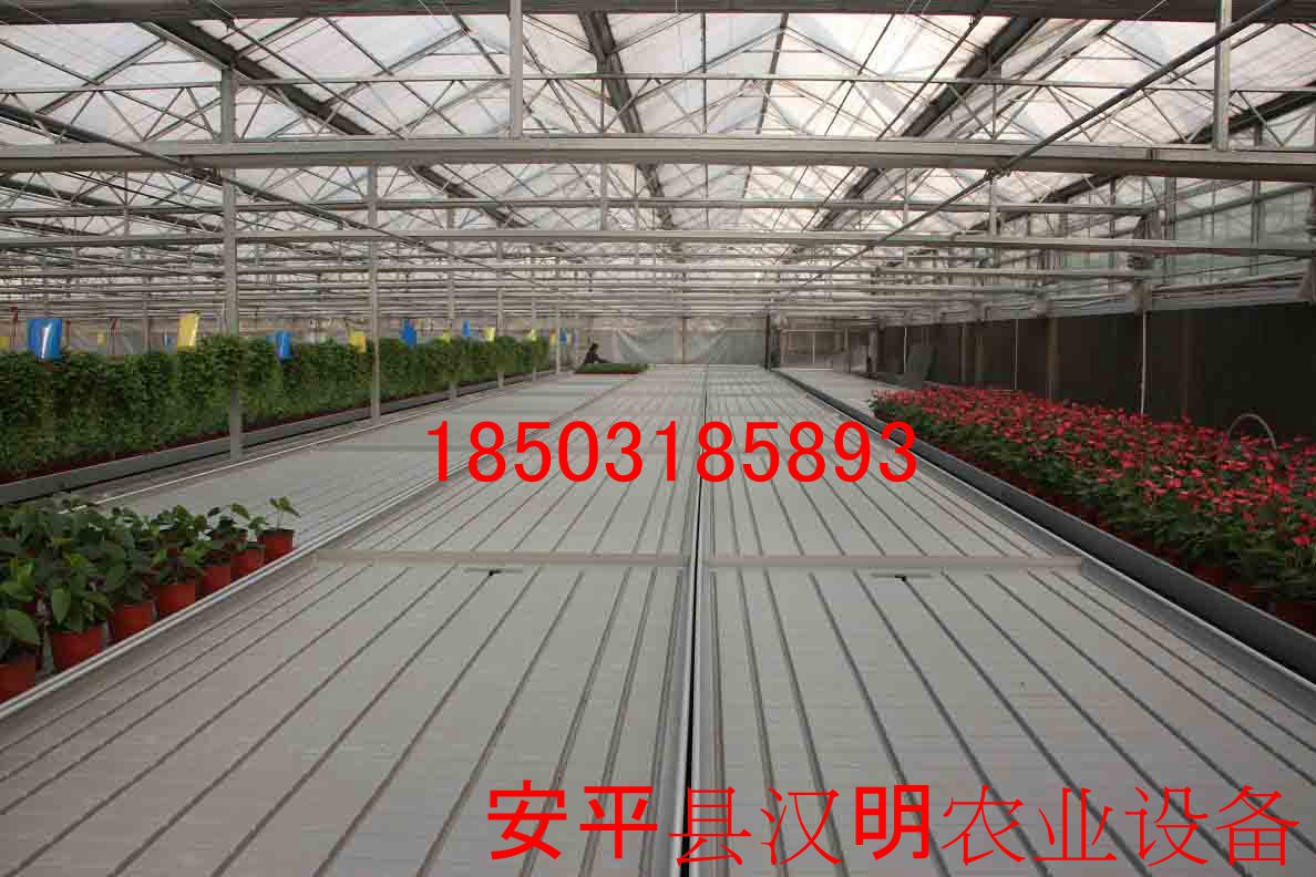 阜阳潮汐式苗床-高效率移动式苗床-降低人工强度  潮汐式苗床厂  潮汐式苗床厂家  潮汐式苗床规格