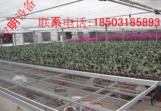 花卉苗床用途  花卉使用群体  花卉苗床厂家  花卉苗床特点