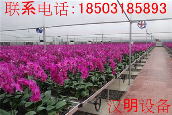 花卉苗床用途  花卉使用群体  花卉苗床厂家  花卉苗床特点