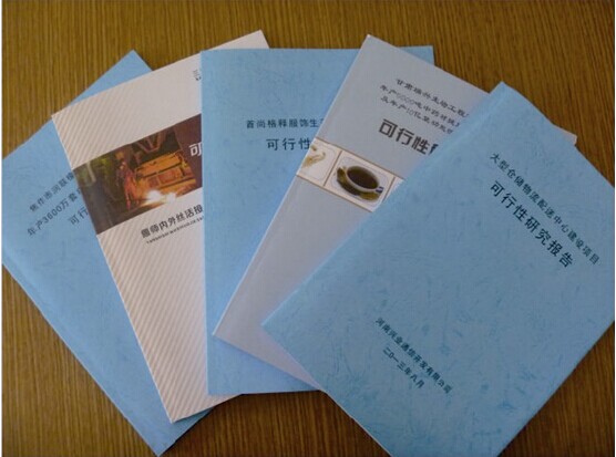 天津专业编写可行性研究报告的公司