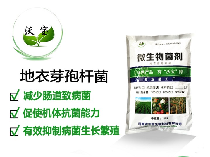地衣芽孢杆菌 水产养殖 水质调节