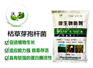 枯草芽孢杆菌宠物家禽群体提高免疫力