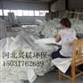 拒水防油防静电除尘布袋涤纶覆膜除尘滤袋找兴晨环保