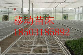 移动苗床-移动苗床价格-移动苗床哪家好  潮汐苗床  温室种植