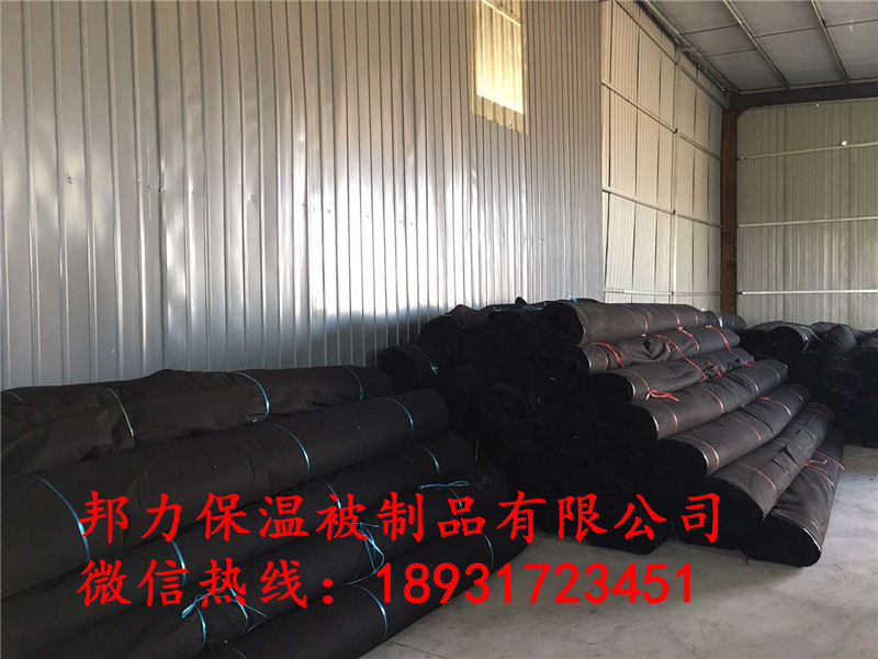 沧州 淋膜毡生产厂家 价格 防水毡布 批发