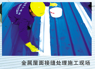 承接金属屋面防水维修、渗漏维修工程&nbsp;&nbsp;金属屋面堵漏&nbsp;&nbsp;厂房防水