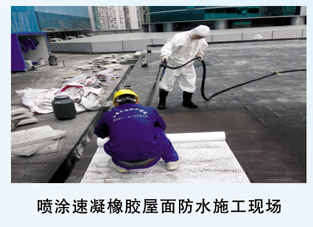 承接屋面渗漏维修工程&nbsp;&nbsp;屋面防水&nbsp;&nbsp;屋面堵漏