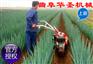 广东小型大葱开沟培土机 开沟施肥机