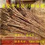 批发胎里红柿子树苗基地