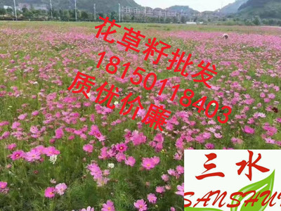漳州市云霄县中风化粉砂岩石施工技术  中风化砂岩  中风化泥质砂岩  强风化砂岩属于几类土