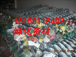 漳州市华安县强风化粉砂岩石客土喷播施工  边坡复绿矿区修复治