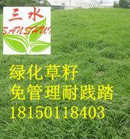 漳州市云霄县SNS主动防护网批发  sns主动防护网  sns主动防护网价格  sns主动边坡防护网