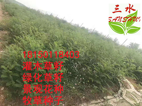 漳州市云霄县SNS主动防护网批发  sns主动防护网  sns主动防护网价格  sns主动边坡防护网