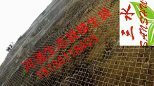 漳州市云霄县SNS主动防护网批发  sns主动防护网  sns主动防护网价格  sns主动边坡防护网