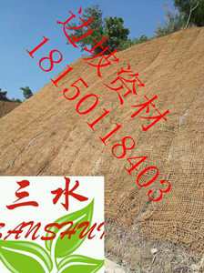 漳州市云霄县专业喷混植生袋施工  专业喷混植生施工  护坡植草公司