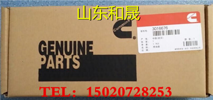 ISG燃油泵4327066RX尿素泵5303018