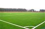 【普通草翠绿1.0cm 25针】足球场塑料草规格