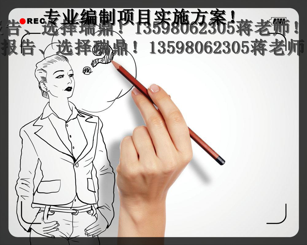 日照【可行性报告-商业计划书树临风落】