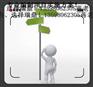 南京【田园综合体-规划设计走马观花】