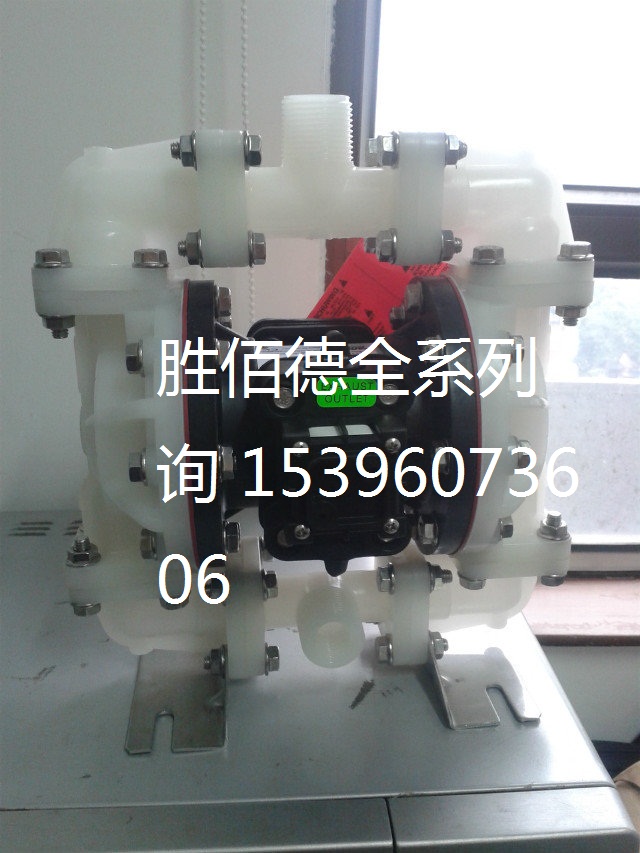 胜佰德气动隔膜泵S15B1SNWABS000  S05B1S1WABS000