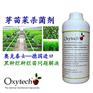 农业种植土壤真菌孢子的疾病危害及防治措施
