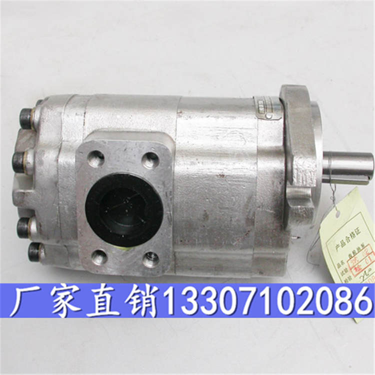 内齿轮油泵G5-25-1E13S-20-R规格