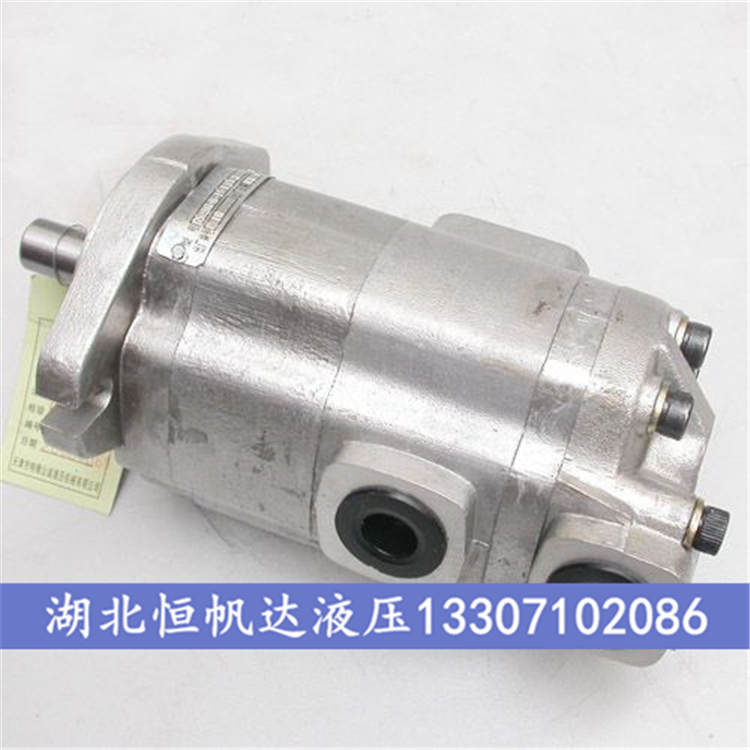 G5-20-AE13S-20-L国产 高温齿轮泵