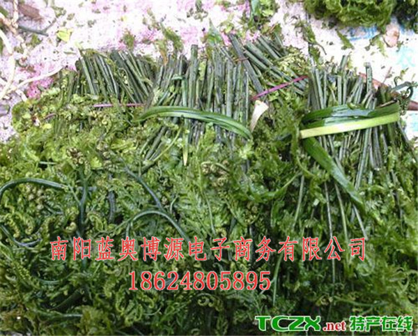 桐柏商城-南阳桐柏云商-桐柏野菜  厂家价格