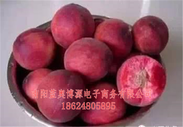 桐柏云商-桐柏-农村电商  厂家价格