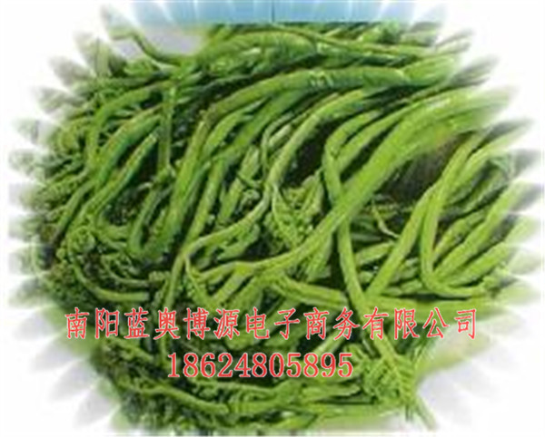 桐柏云商-桐柏-桐柏农特产品  厂家价格