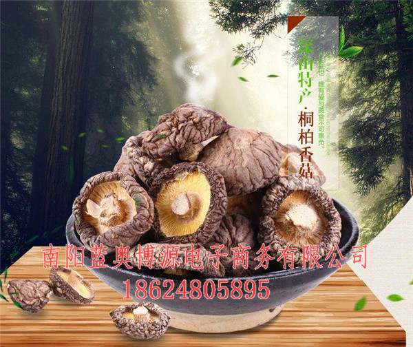桐柏云商-桐柏电商-桐柏农特产品  厂家价格