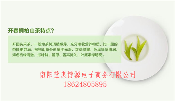 桐柏商城-中原蓝奥桐柏云商-桐柏电商  厂家价格