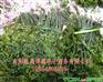 桐柏商城-南阳特产-中原蓝奥桐柏云商