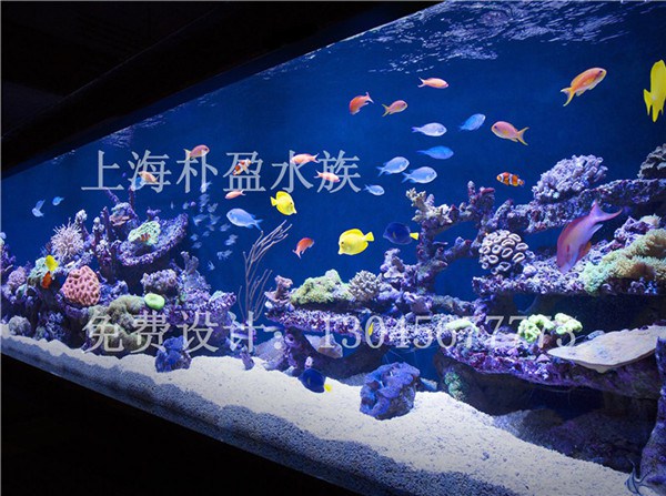 重庆小型大型鱼缸§今日价格报表  厂家价格