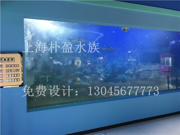 湖南订做海洋馆建设定做}使用技术指导  厂家价格