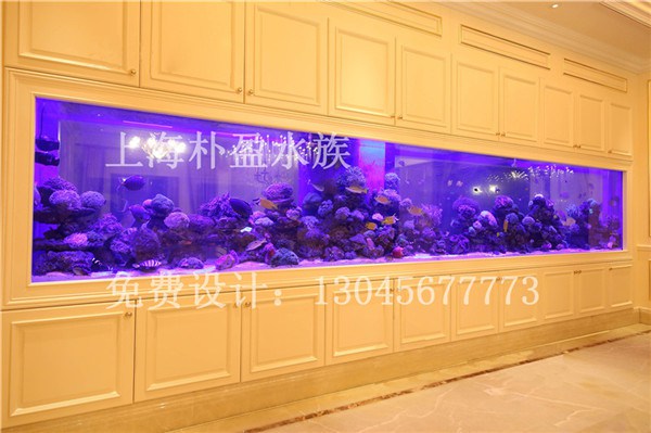 拉萨鱼缸工厂  厂家价格