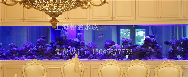 甘肃大型大型鱼缸厂  厂家价格
