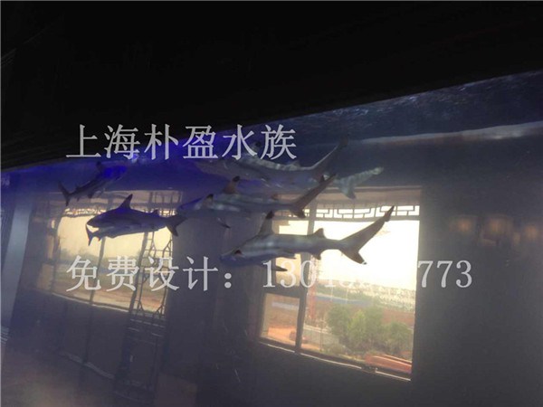 讷河海洋馆设计  厂家价格