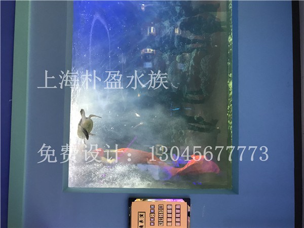 淄博亚克力鱼缸  厂家价格