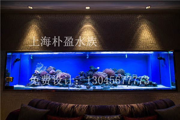 乌海鱼缸工厂%【营口新闻网】  厂家价格