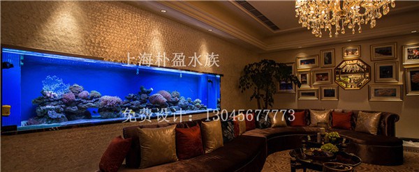 山东订做亚克力鱼缸多少钱%【东营新闻网】  厂家价格