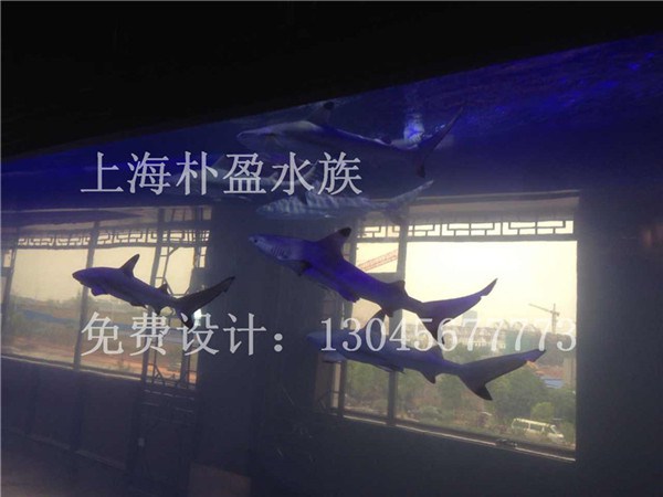 安徽小型海洋馆建设  厂家价格