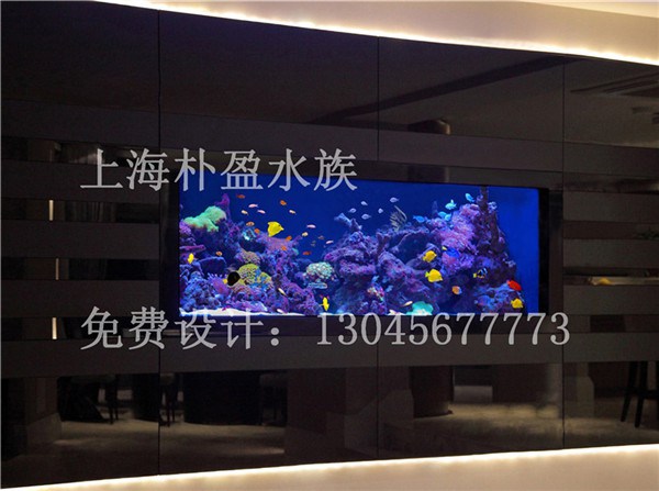 沈阳海水鱼缸%【泉州新闻网】  厂家价格