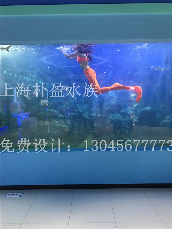 拉萨亚克力鱼缸定做【秦皇岛新闻网】  厂家价格