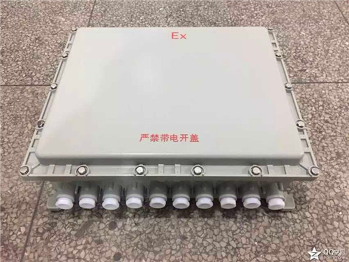 BXJ51-40/20防爆分线箱&nbsp;&nbsp;防爆接线端子箱&nbsp;&nbsp;防爆过线箱