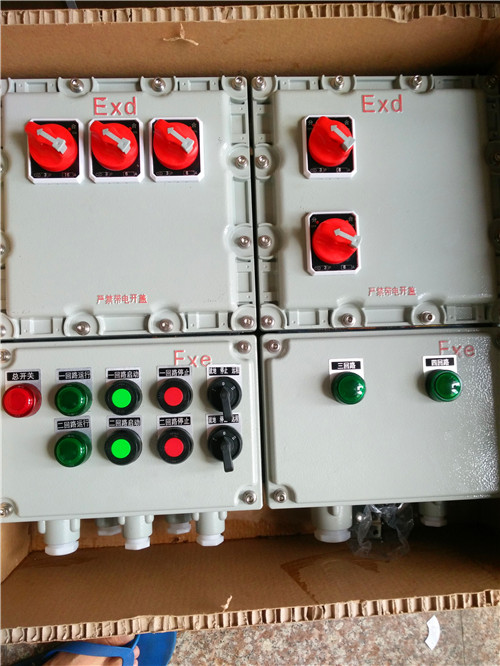 BXD53-6T/20防爆动力配电箱&nbsp;&nbsp;防爆电源箱&nbsp;&nbsp;防爆控制箱&nbsp;&nbsp;防爆检修箱