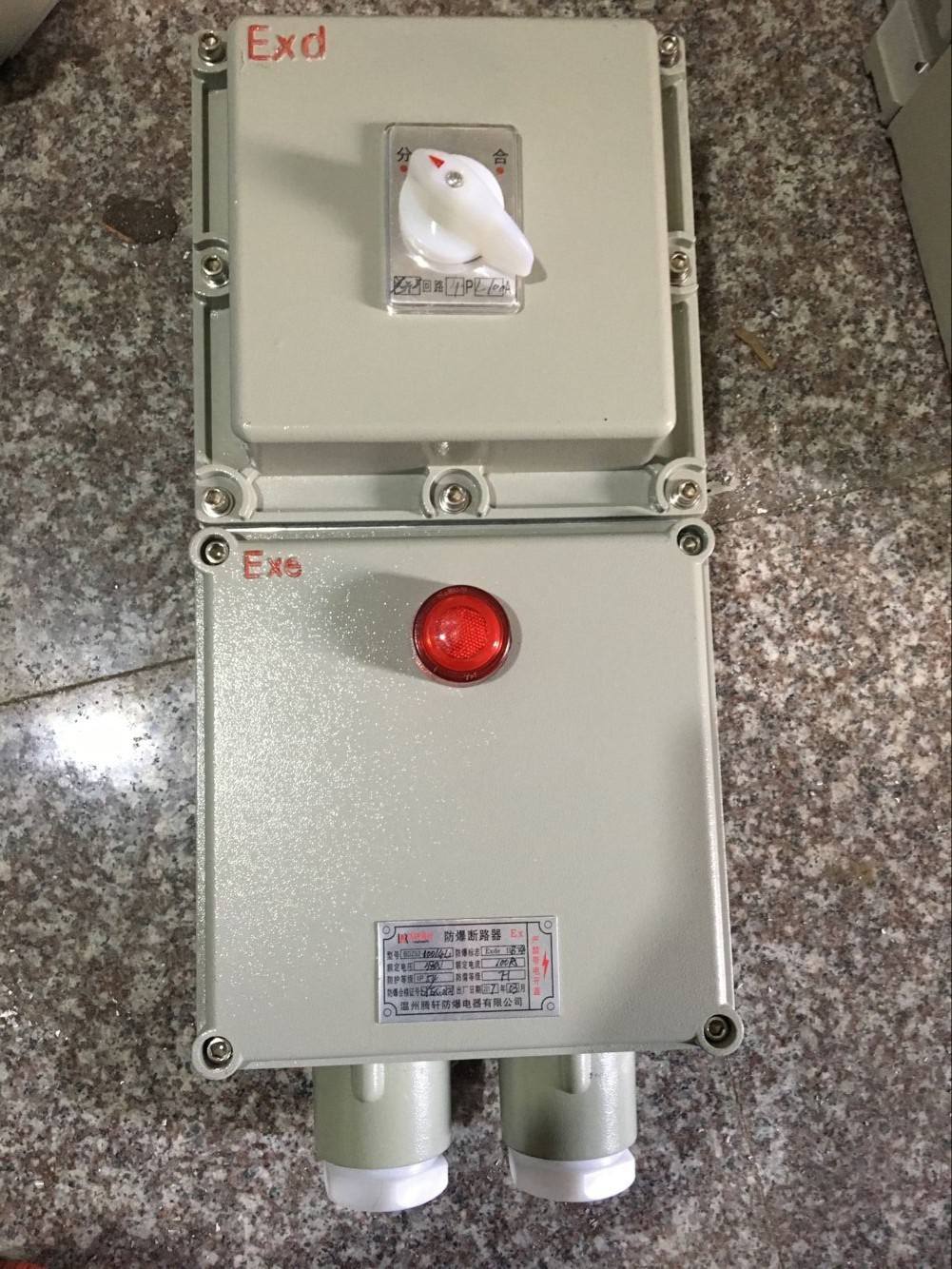 BDZ52L-10A/380V 防爆断路器