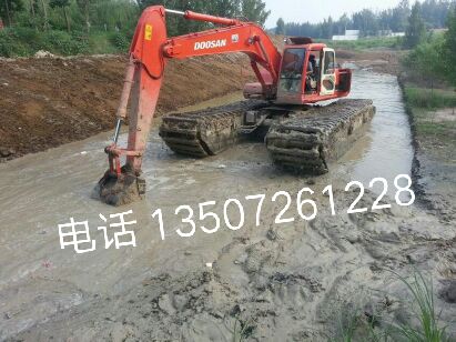 湖南益阳市租赁湿地挖机组图