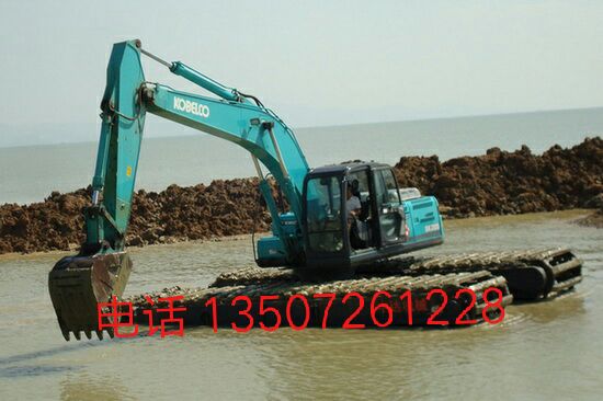 湖南益阳市租赁湿地挖机组图